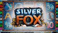 Silver Fox